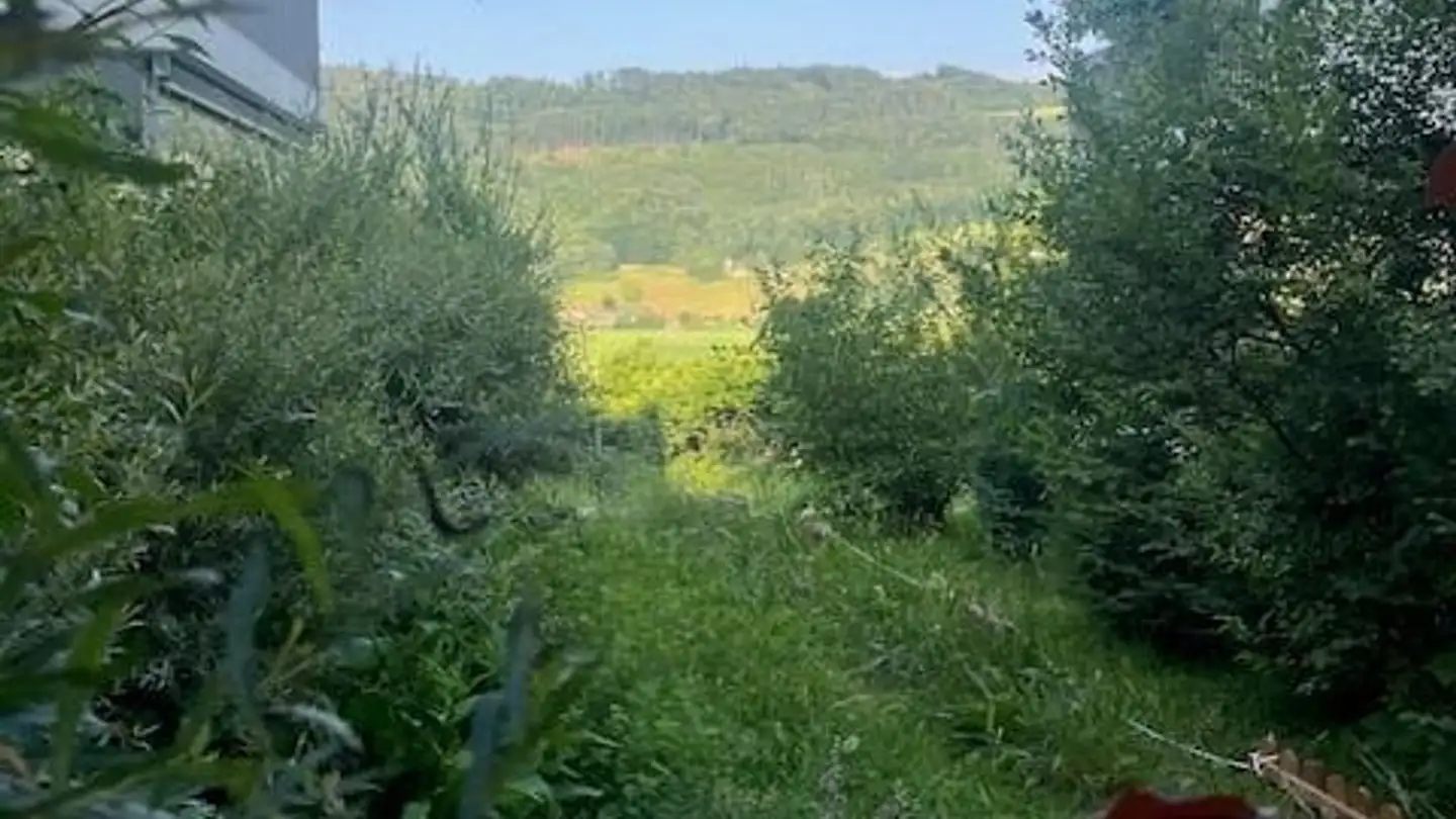 Maisonette-Wohnung mieten - Gartenstrasse 1, 3125 Toffen - Foto 3