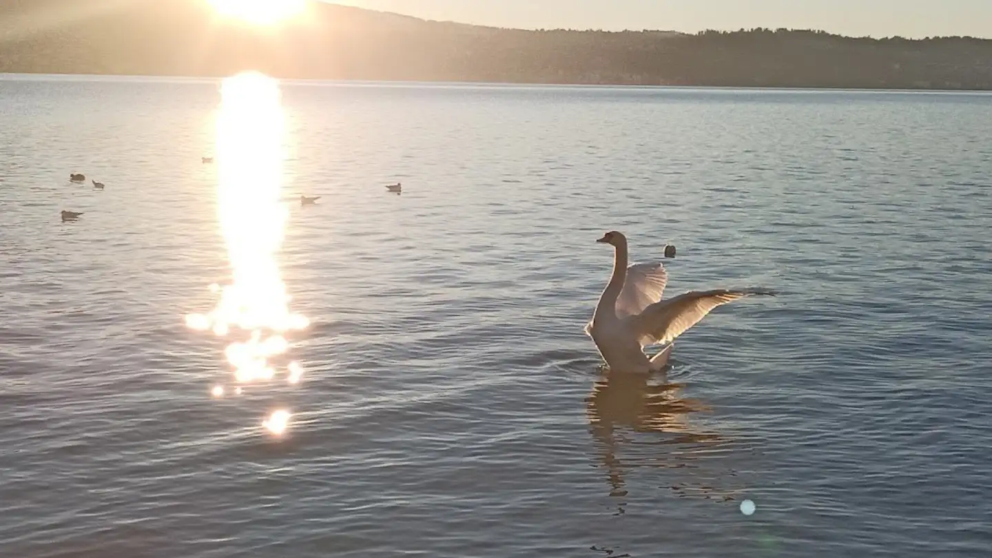 Zimmer mieten - 8713 Uerikon - Foto 2