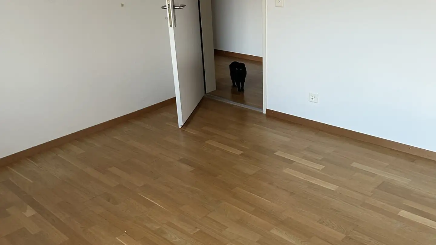 Single room for rent - Chürzistrasse 3, 8600 Dübendorf