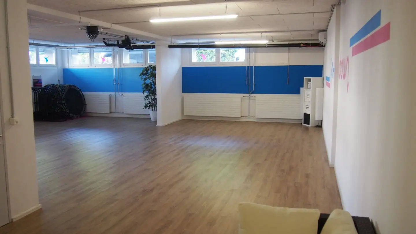 Commercial for rent - Aarauer Strasse 28, 5734 Reinach AG
