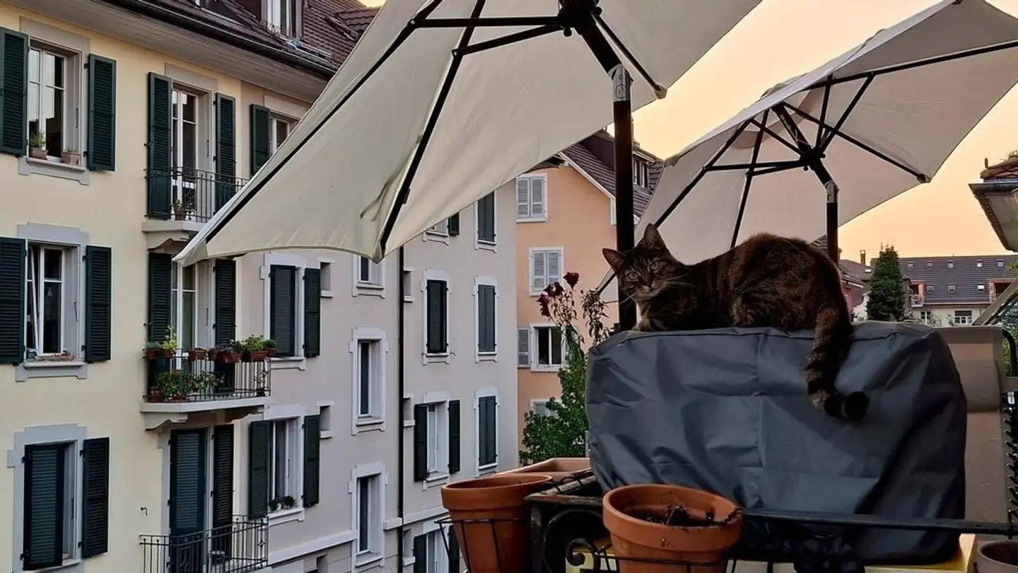 Apartment for rent - 3014 Bern - Photo 2