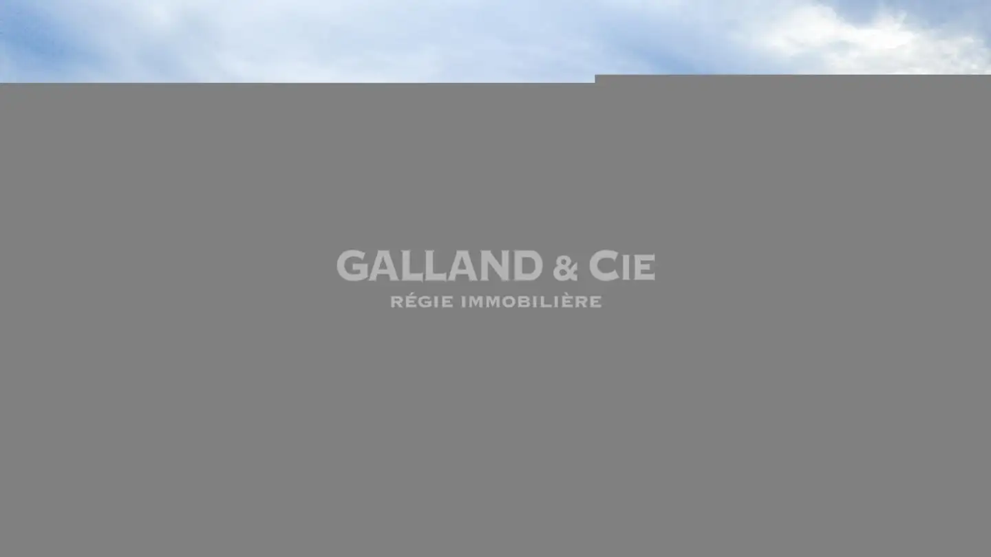 Appartamento in affitto - Avenue De La Sallaz 39, 1010 Lausanne - Photo 2