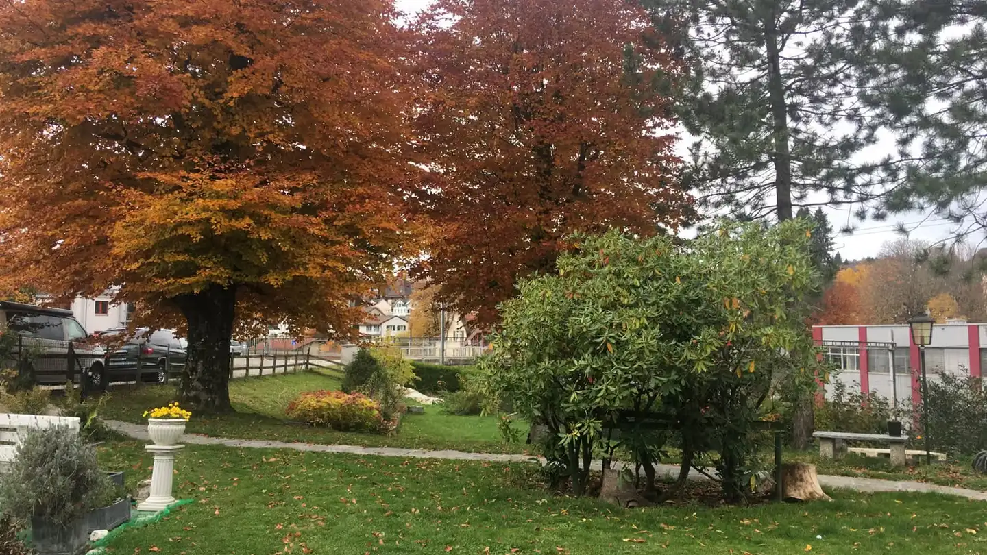 Stanza singola in affitto - Seeblickstrasse 3, 9113 Degersheim