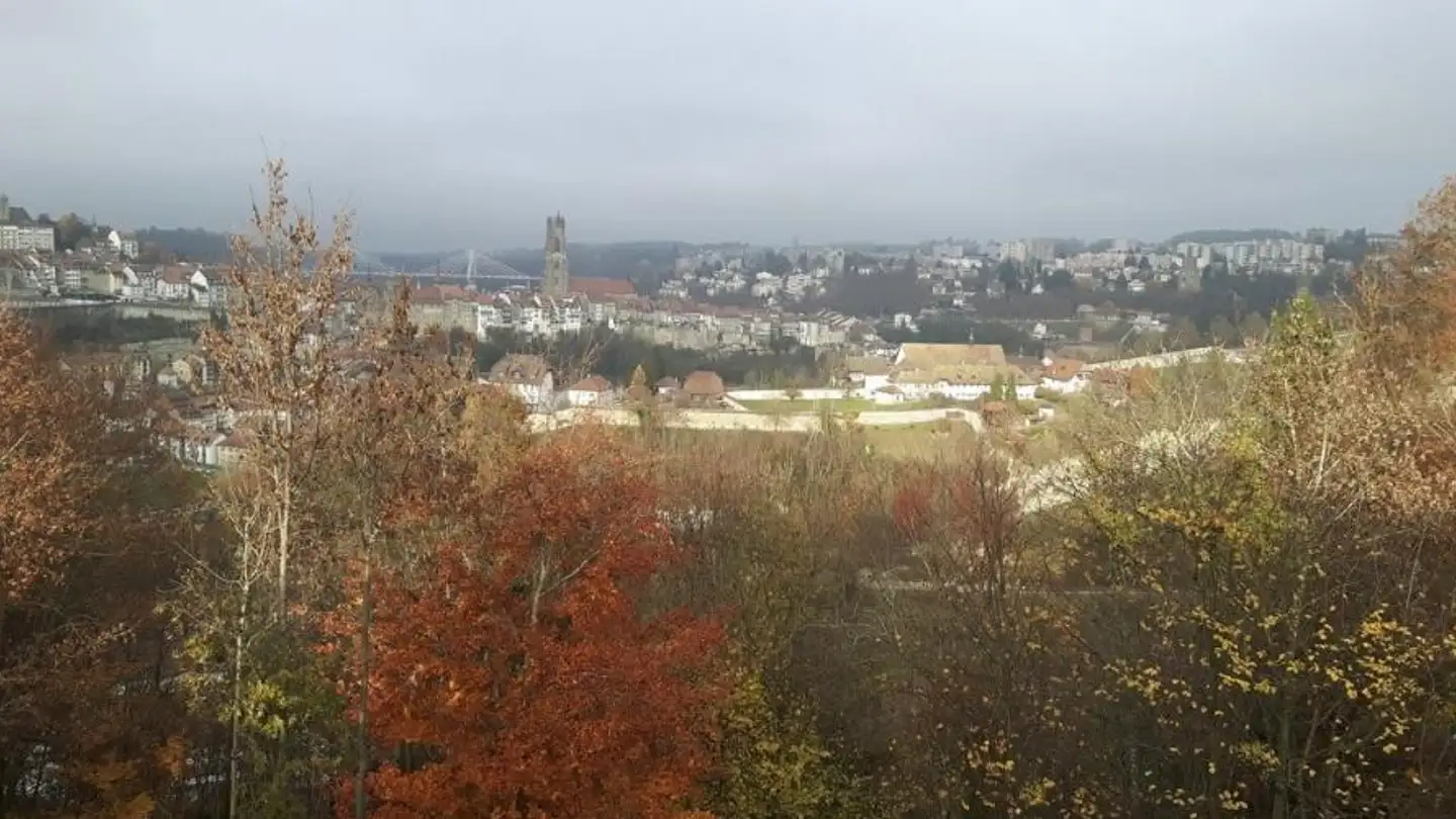 Tiefgaragenstellplatz mieten - Rue du Botzet 20, 1700 Fribourg
