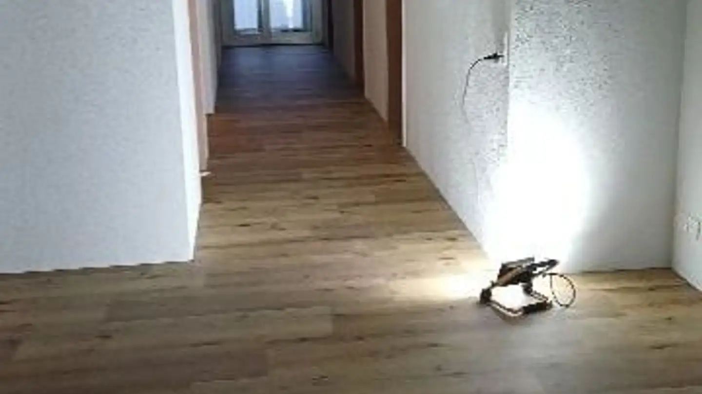 Apartment for rent - Breiteweg 5, 5734 Reinach AG - Photo 4