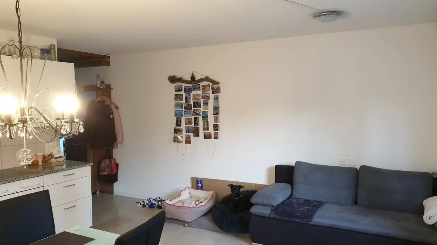 Studio in affitto - Blumensteinstrasse 36, 3665 Wattenwil - Photo 4