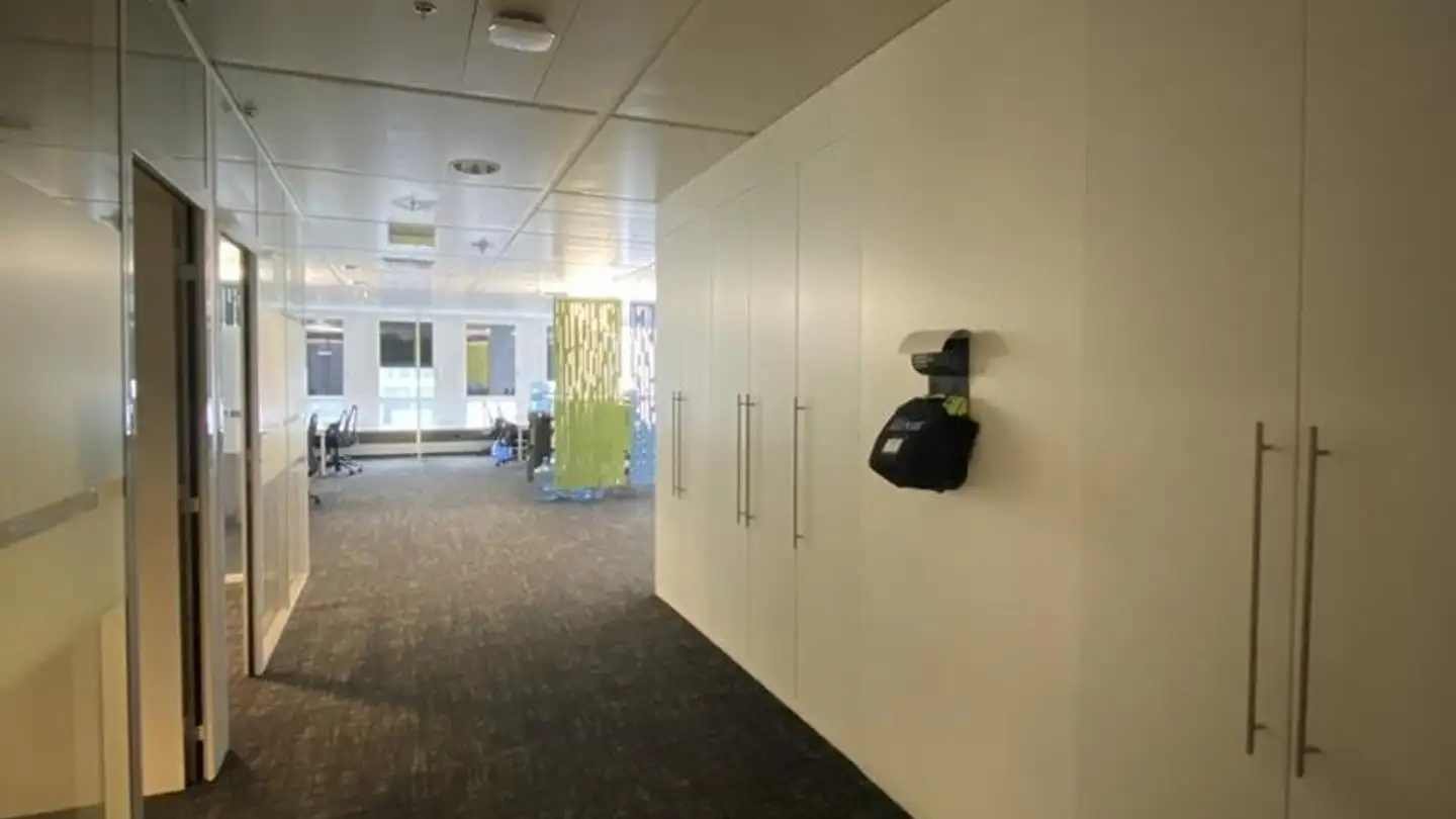 Commerciale in affitto - Avenue Des Morgines 12, 1213 Petit-Lancy - Foto 4