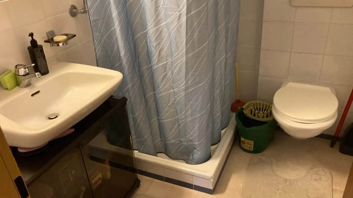 Apartment for rent - Via Vecchio Canale 2, 6982 Agno - Photo 2