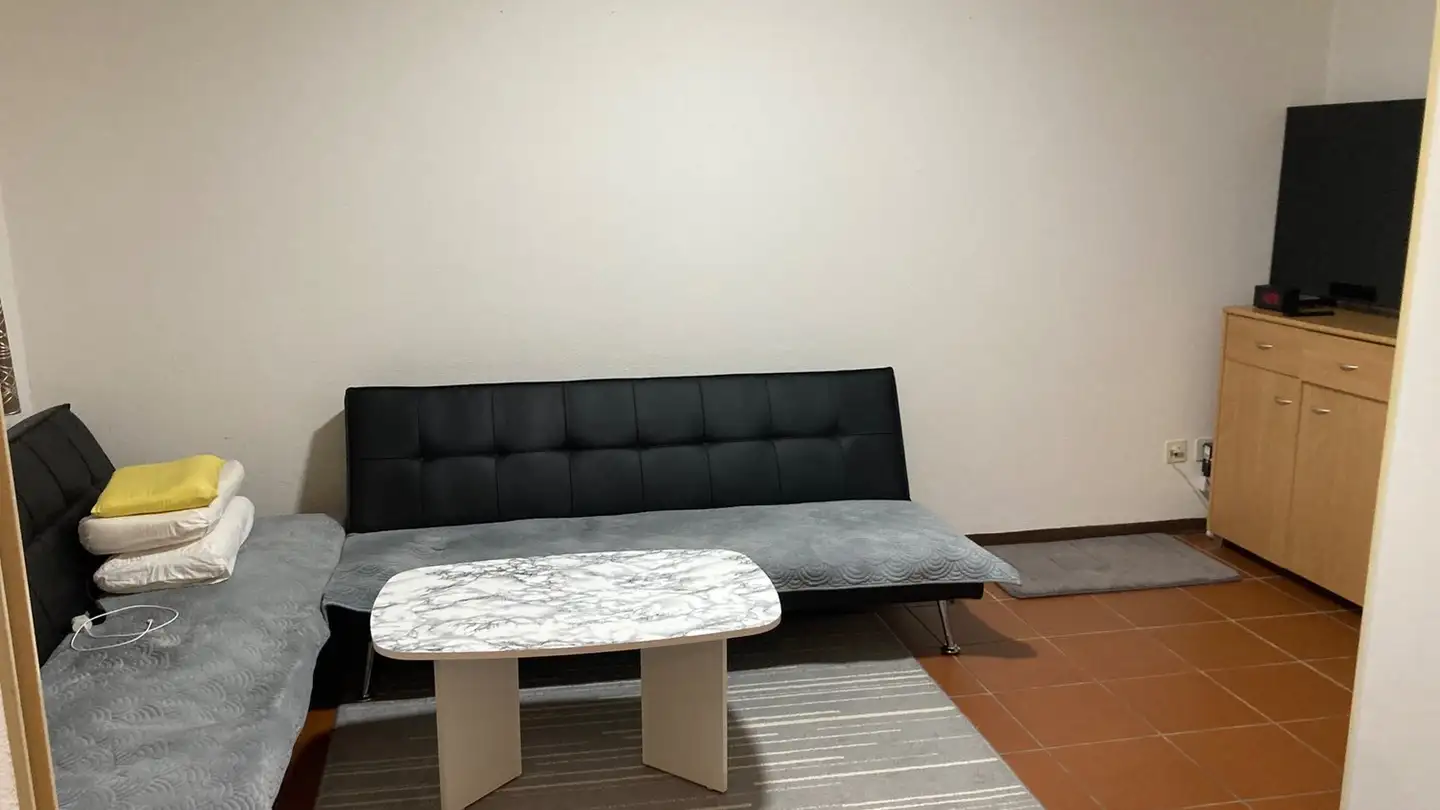 Apartment for rent - Via Vecchio Canale 2, 6982 Agno - Photo 3