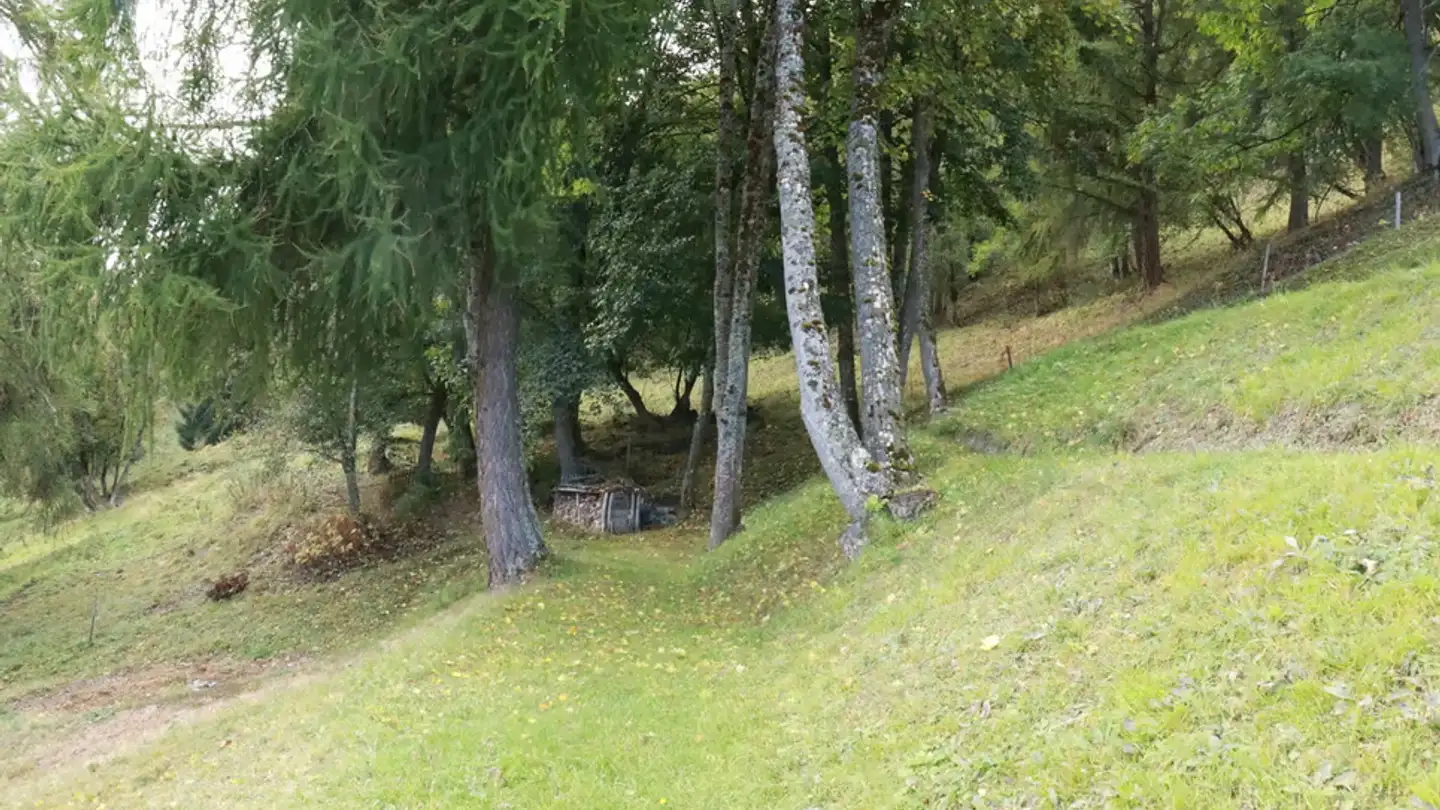 Single house for sale - 1987 Hérémence - Photo 3