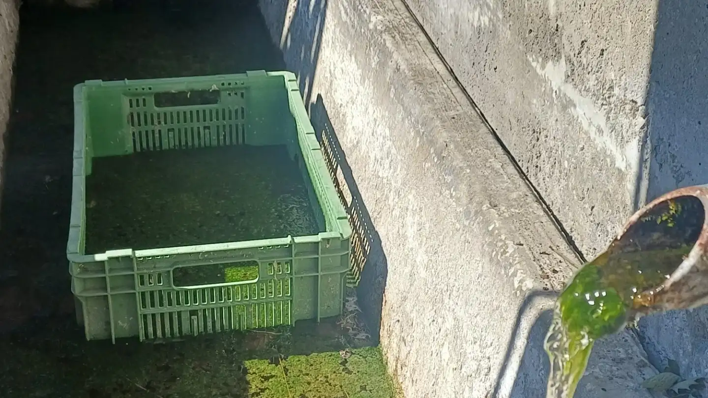 Fattoria in vendita - 1700 Fribourg - Foto 4
