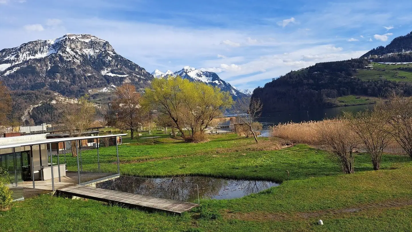 Loft à vendre - 6440 Brunnen - Photo 2
