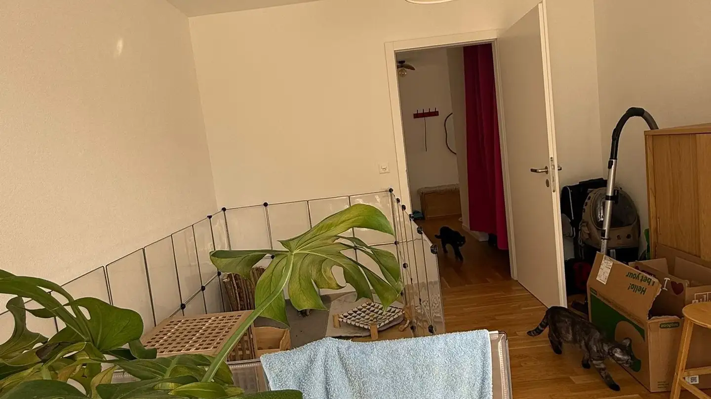 Wohnung mieten - 1860 Aigle - Foto 4