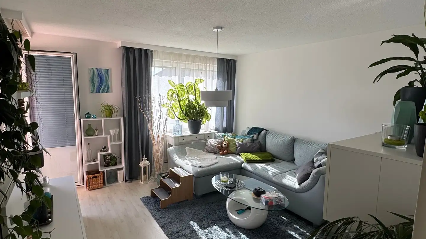 Appartement à louer - Blattackerstrasse 6, 9435 Heerbrugg