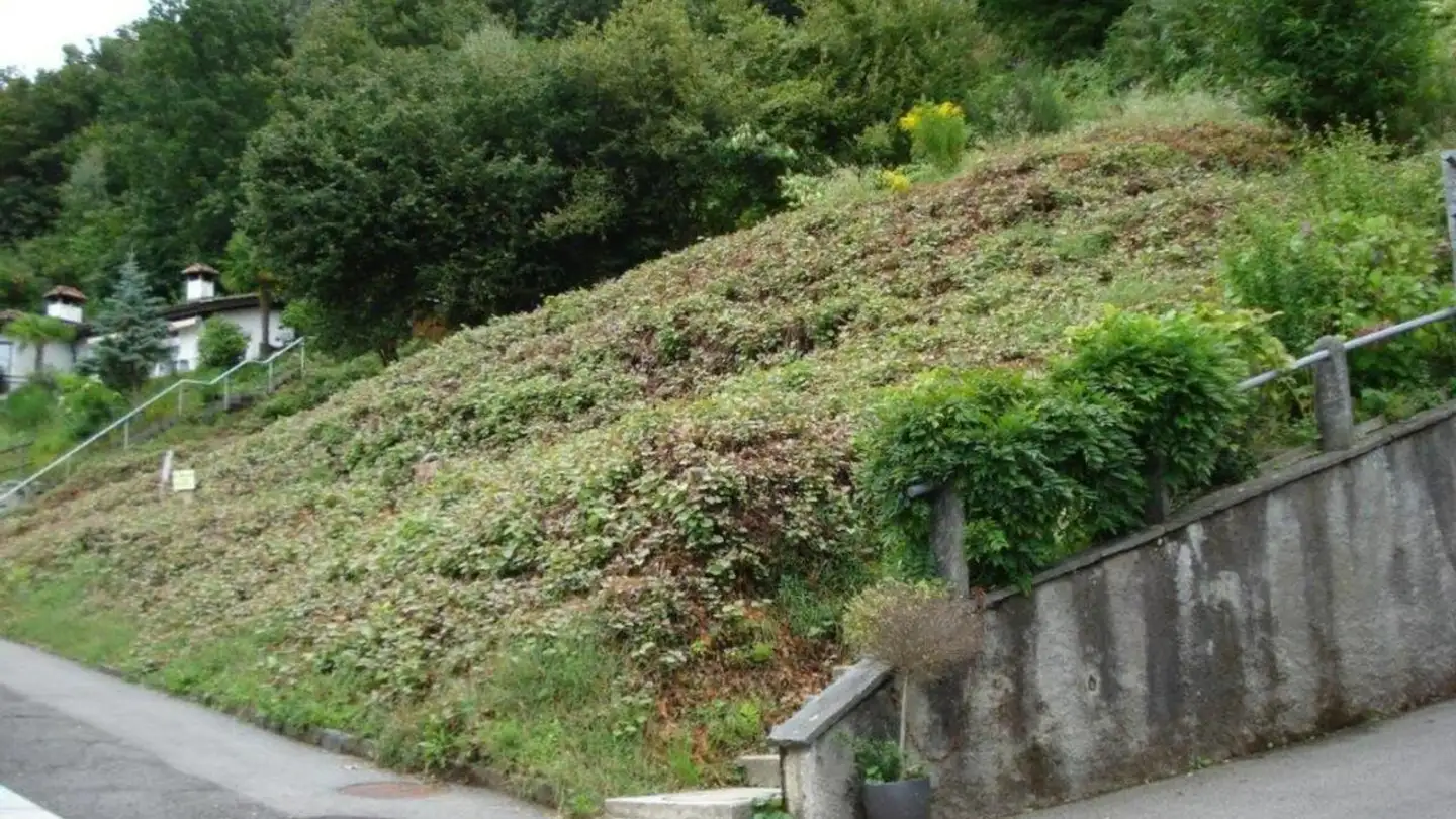 Constructible plot for sale - 6576 Gerra (Gambarogno) - Photo 2