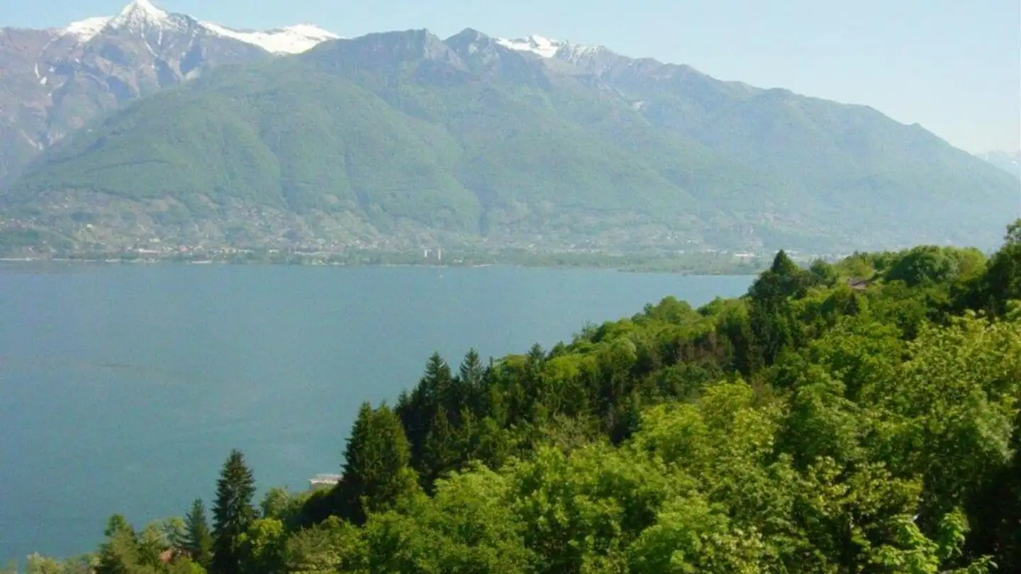 Constructible plot for sale - 6576 Gerra (Gambarogno) - Photo 3