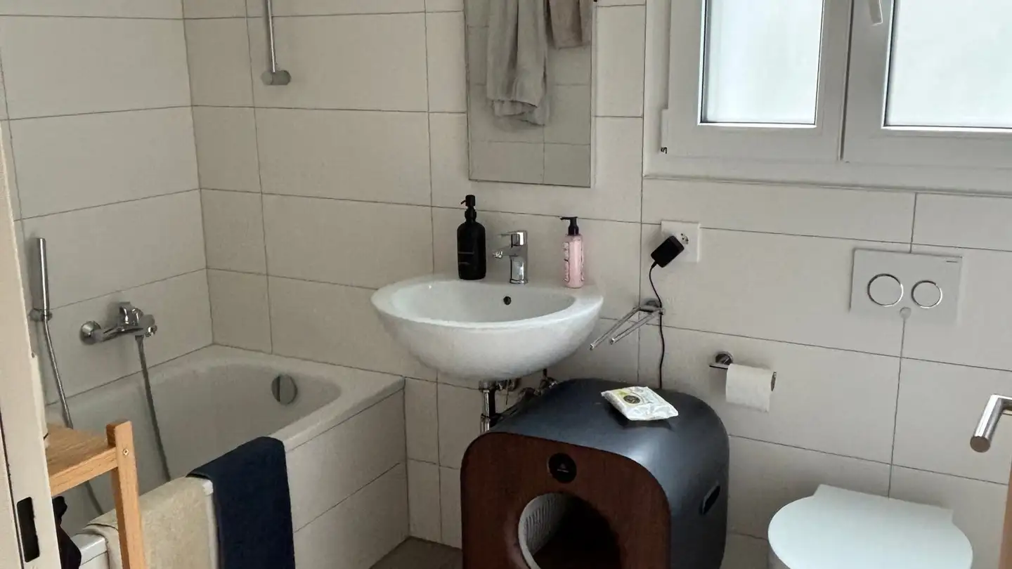 Wohnung mieten - Via Pedemonte 10, 6572 Quartino - Foto 4