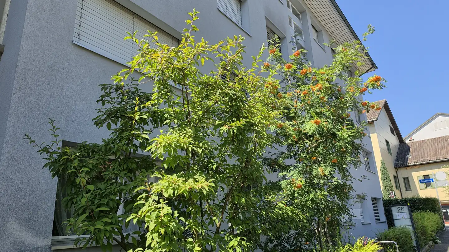 Appartamento in affitto - Weissenbühlweg 26, 3007 Bern - Foto 2