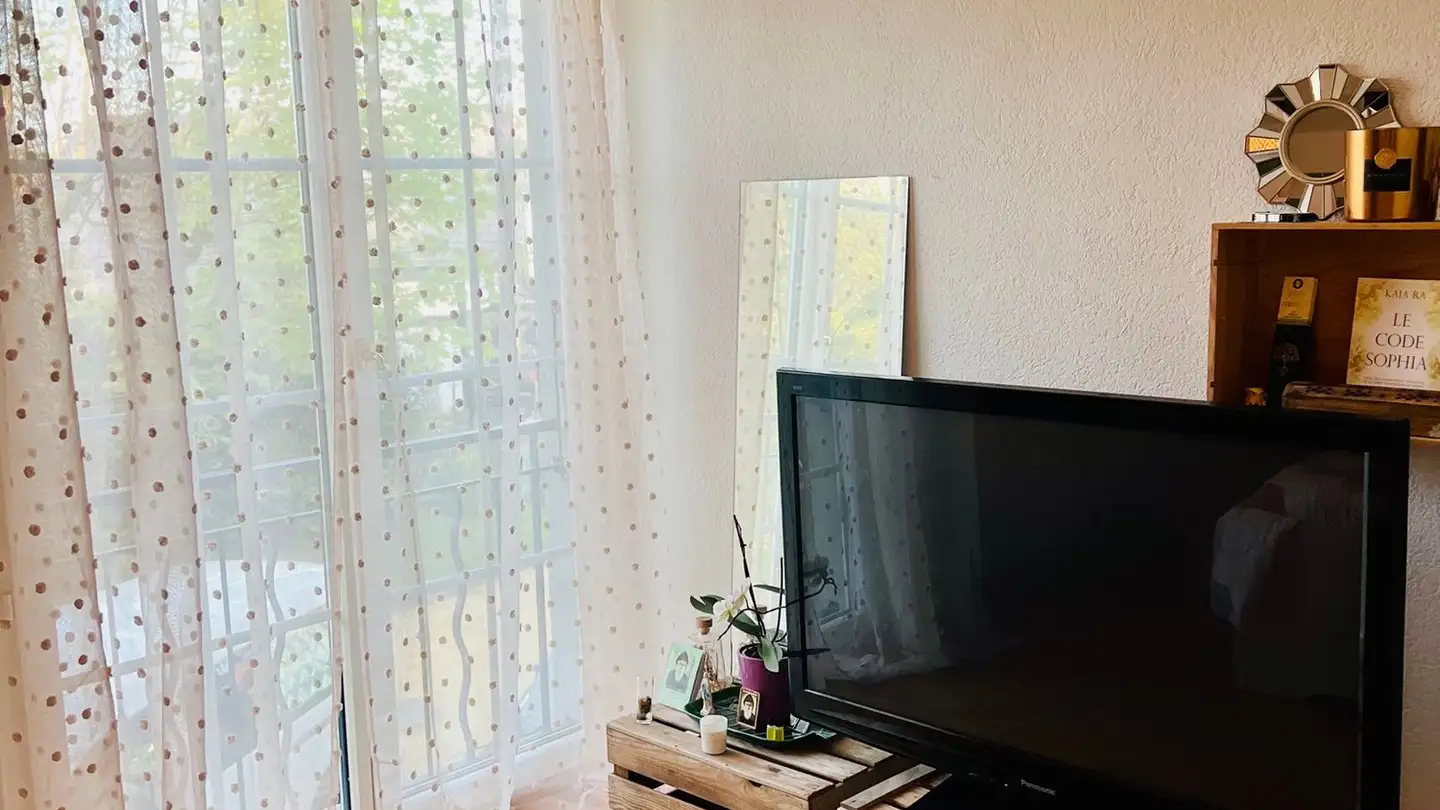 Single room for rent - 1054 Morrens VD - Photo 2