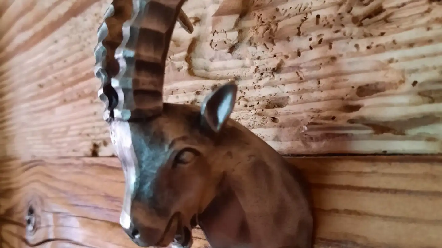 Hotel for sale - Gitschenen, 6461 Isenthal - Photo 3