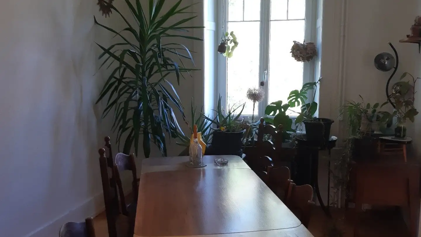 Single room for rent - 2000 Neuchâtel - Photo 3