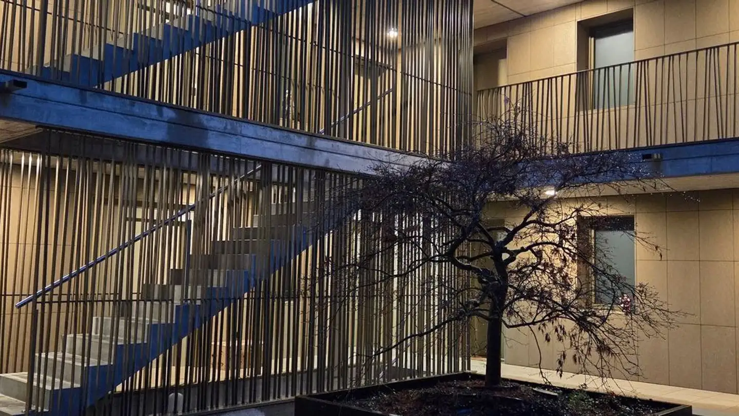 Appartement à louer - Rue Du Favez, 1530 Payerne