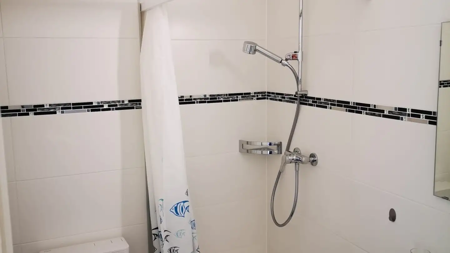 Wohnung mieten - Rue Du Simplon, 1800 Vevey