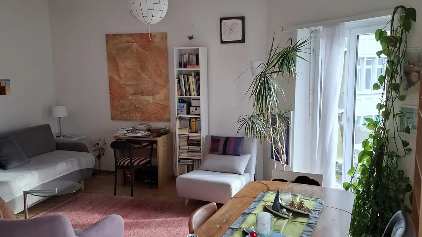 Möblierte Wohnung mieten - Dufourstrasse 189, 8008 Zürich - Foto 4