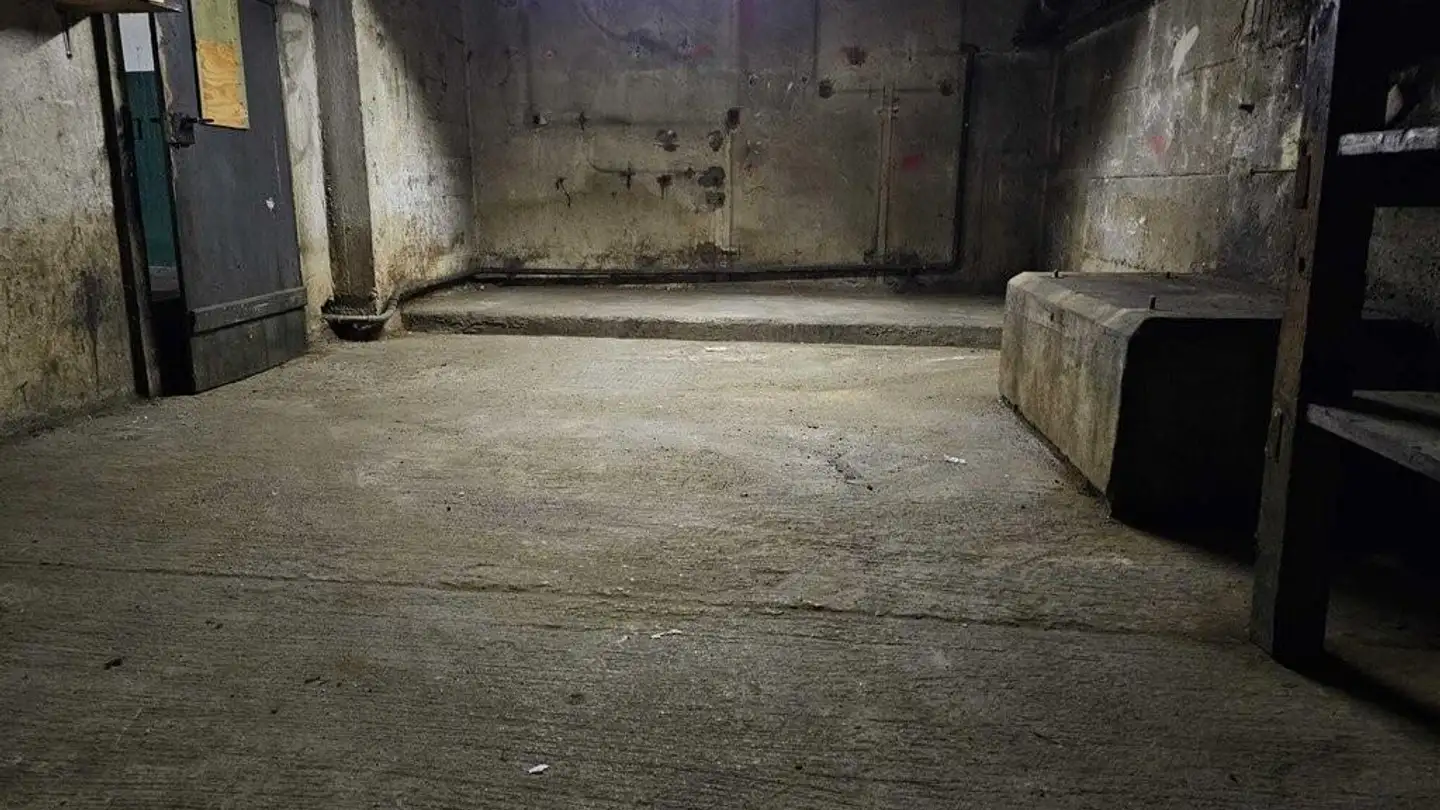Espace de stockage à louer - Badenerstrasse, 8952 Schlieren