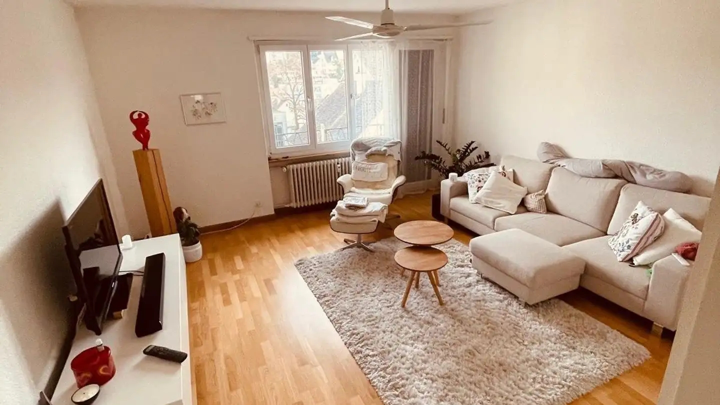 Wohnung mieten - 4102 Binningen