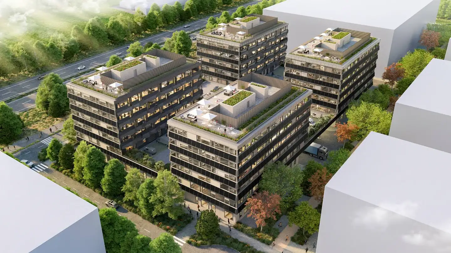 Commerciale in vendita - Chemin Des Longues-Rasses 51, 1228 Plan-les-Ouates - Foto 3