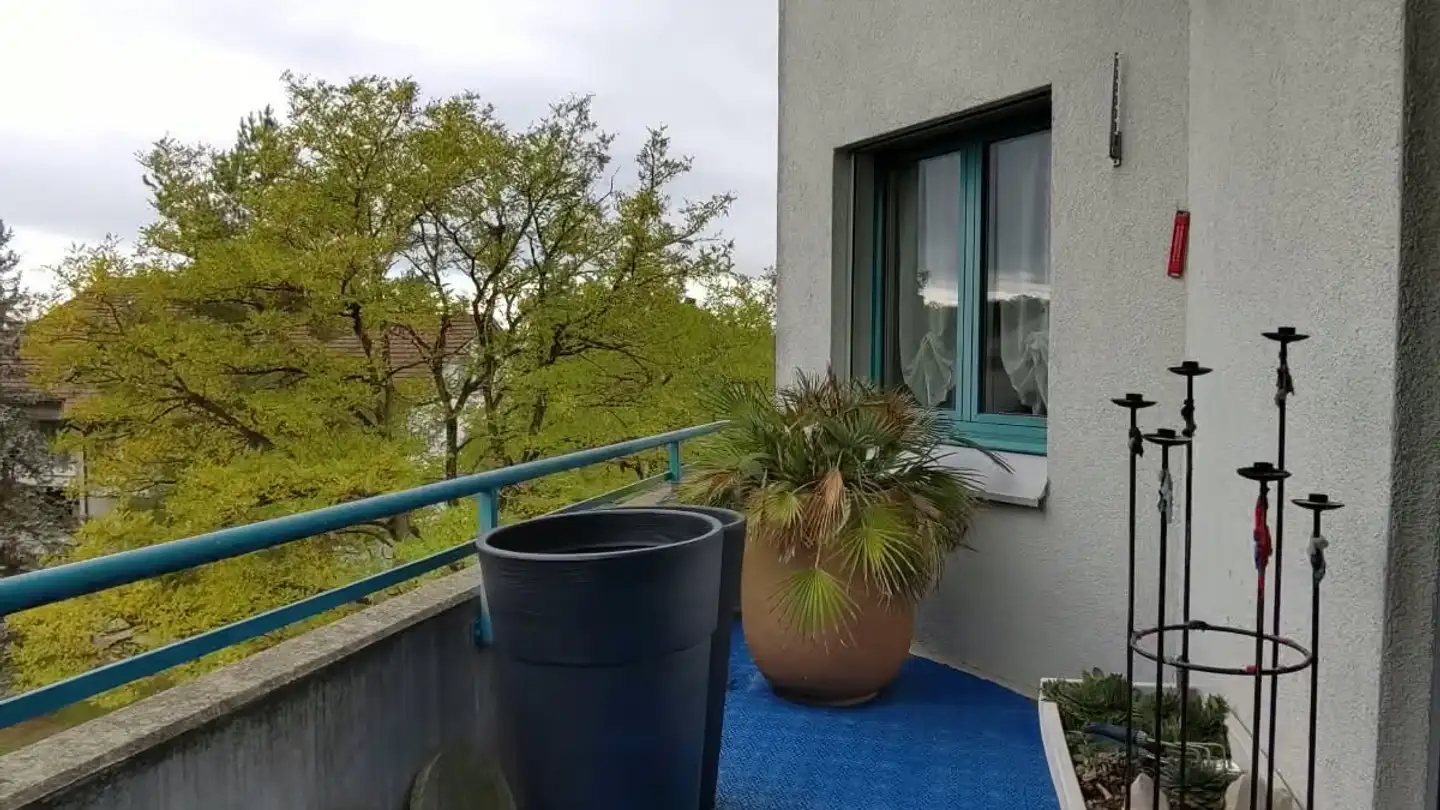 Duplex à louer - Aeussere Stammerau 13, 8500 Frauenfeld