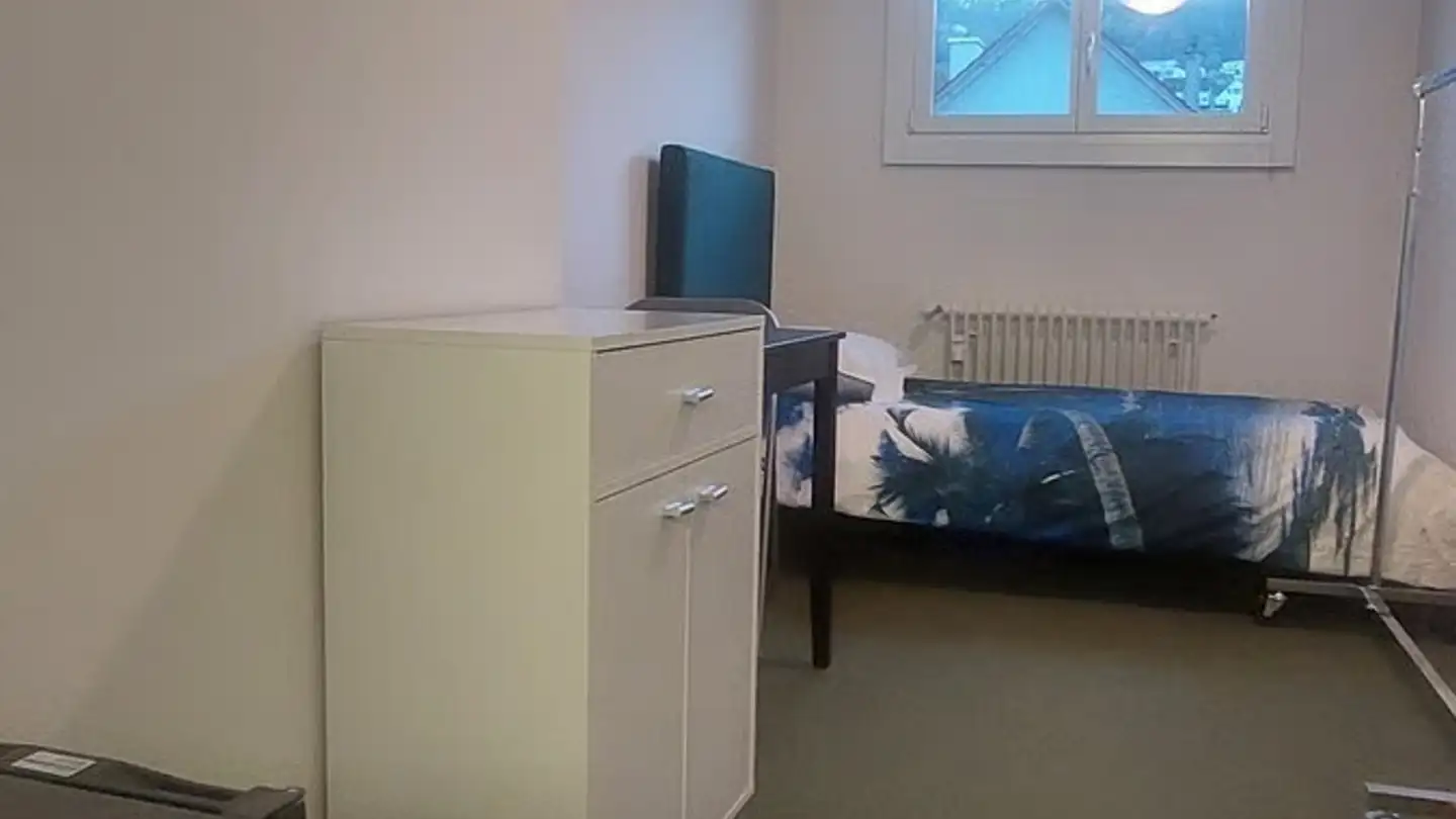 Appartamento ammobiliato in affitto - 8810 Horgen