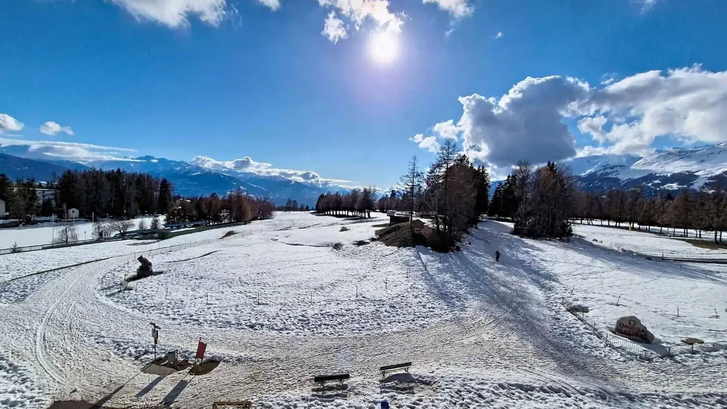 Appartement à vendre - Route De Crans-Montana, 3963 Montana - Photo 4