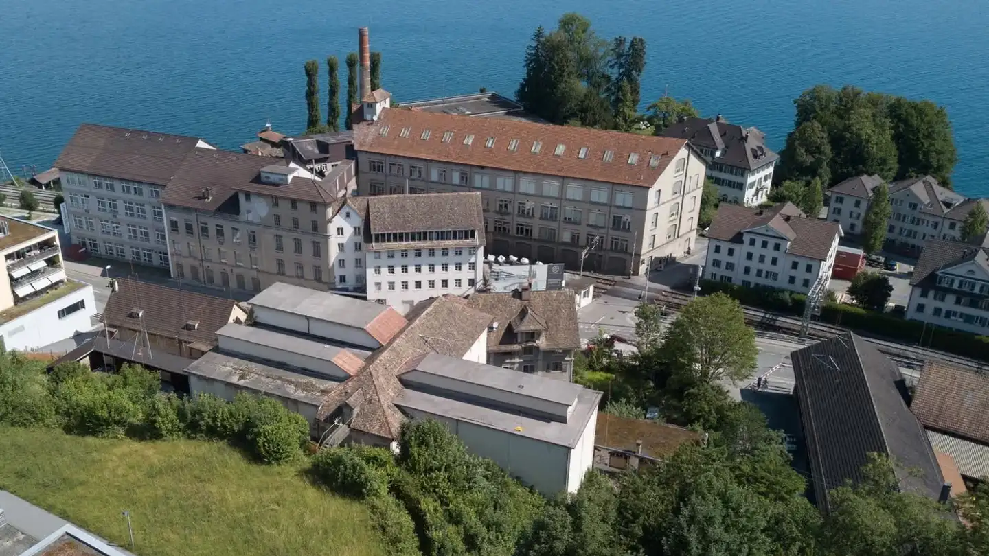 Immeuble industriel à louer - Seestrasse 26, 8820 Wädenswil
