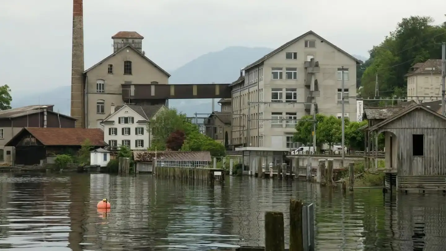 Immeuble industriel à louer - Seestrasse 26, 8820 Wädenswil - Photo 3
