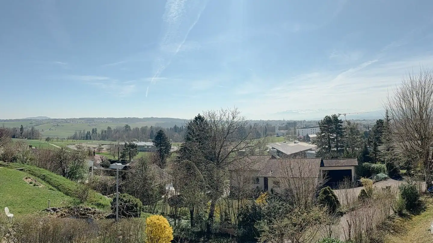 Single house for sale - In Der Halde 9, 8967 Widen - Photo 3