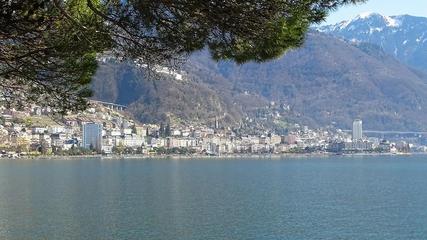 Appartamento in vendita - 1815 Clarens - Foto 2