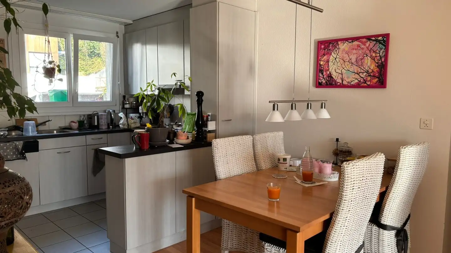 Appartamento in affitto - Schlierenstrasse 40, 5408 Ennetbaden - Foto 3