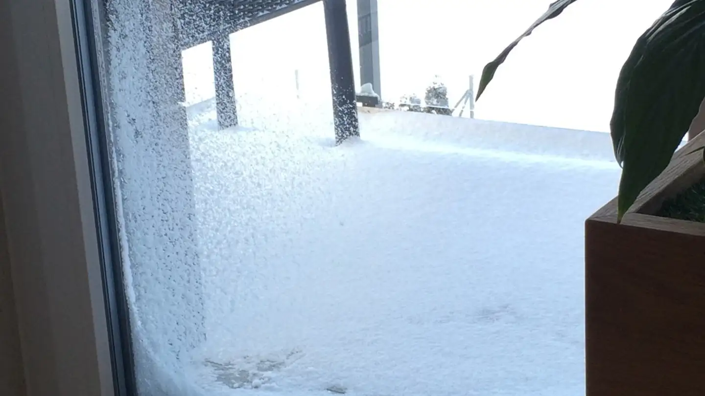 Single room for rent - 8915 Hausen am Albis - Photo 3