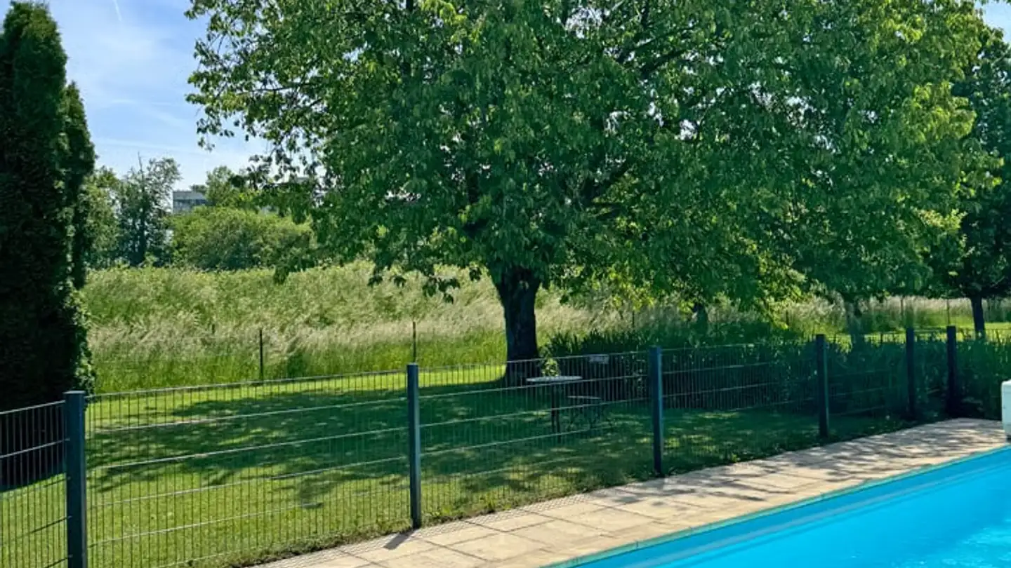 Maison individuelle à vendre - Einschlagstrasse 23, 4923 Wynau - Photo 2