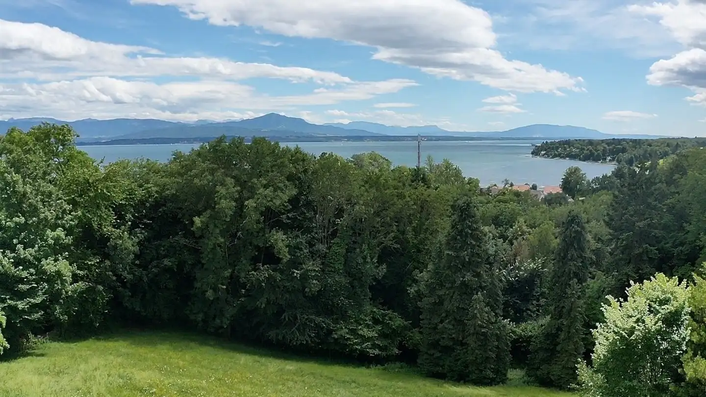 Single house for sale - 1195 Dully - Photo 2