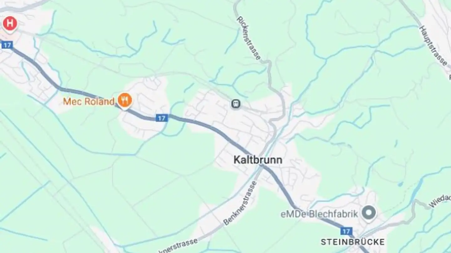 Wohnung kaufen - 8722 Kaltbrunn