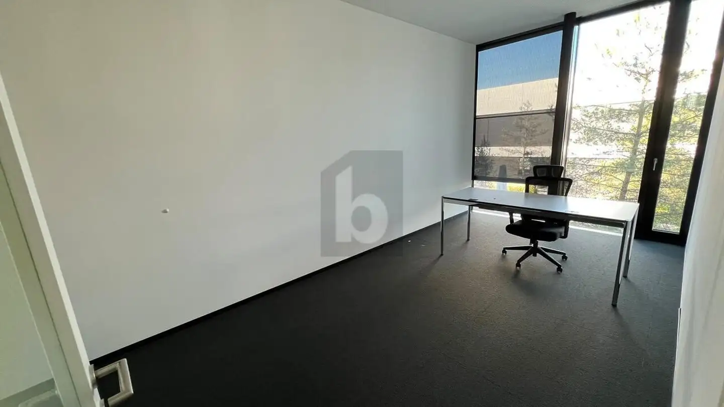 Office space for rent - 8404 Winterthur - Photo 3