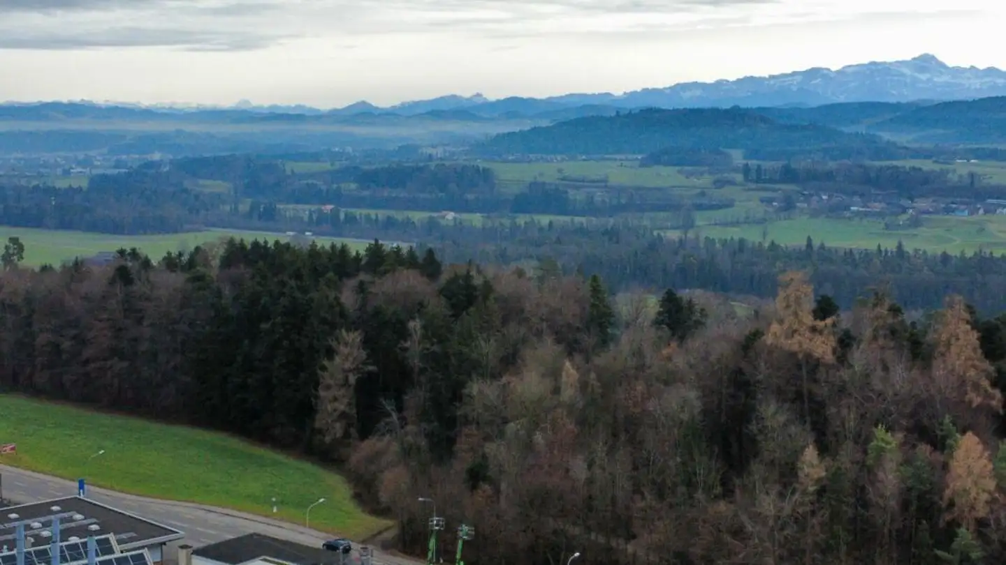 Single house for sale - Friedbergweg 16, 9500 Wil SG - Photo 4