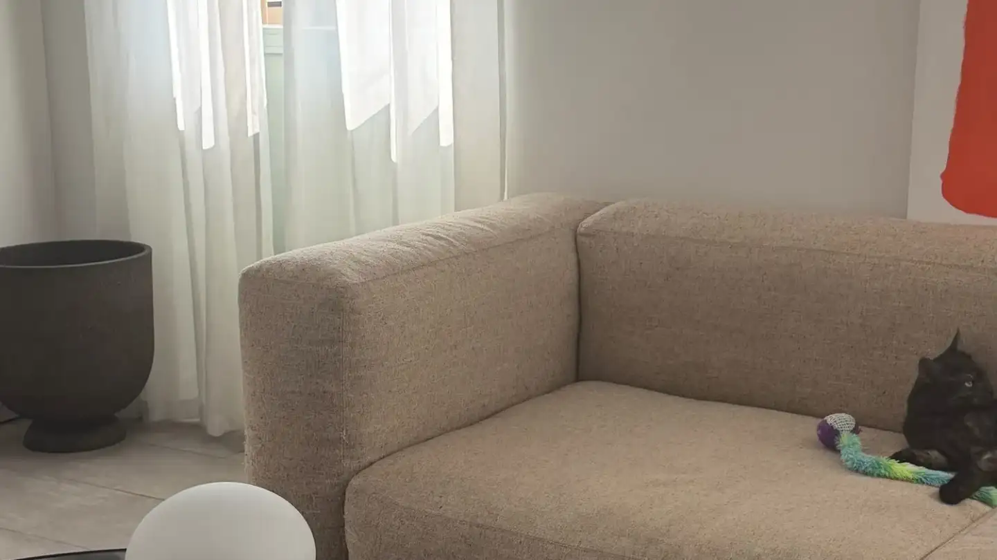 Wohnung mieten - 6600 Locarno - Foto 2