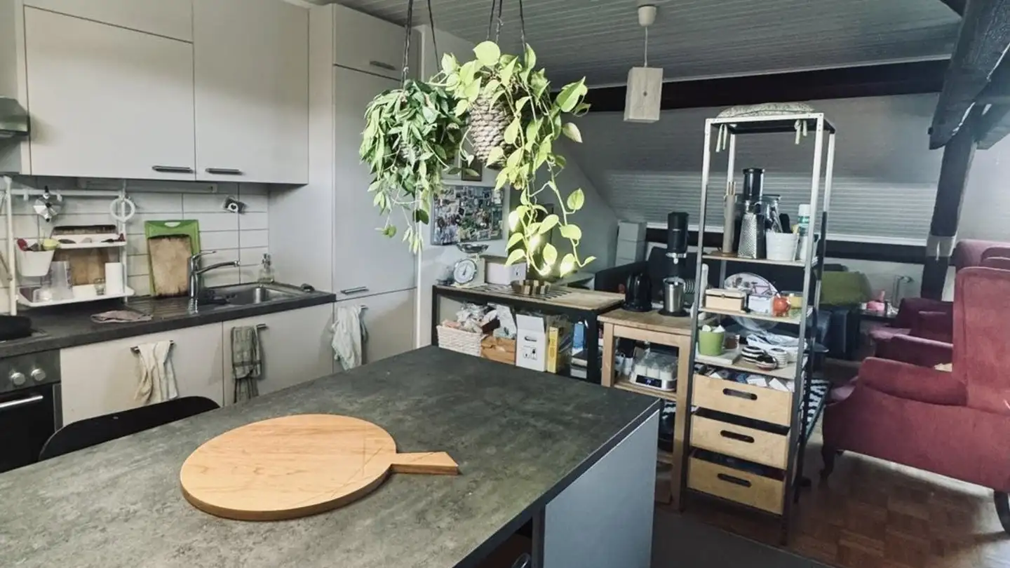 Appartamento in affitto - Rue Du Clos 31, 1207 Genève