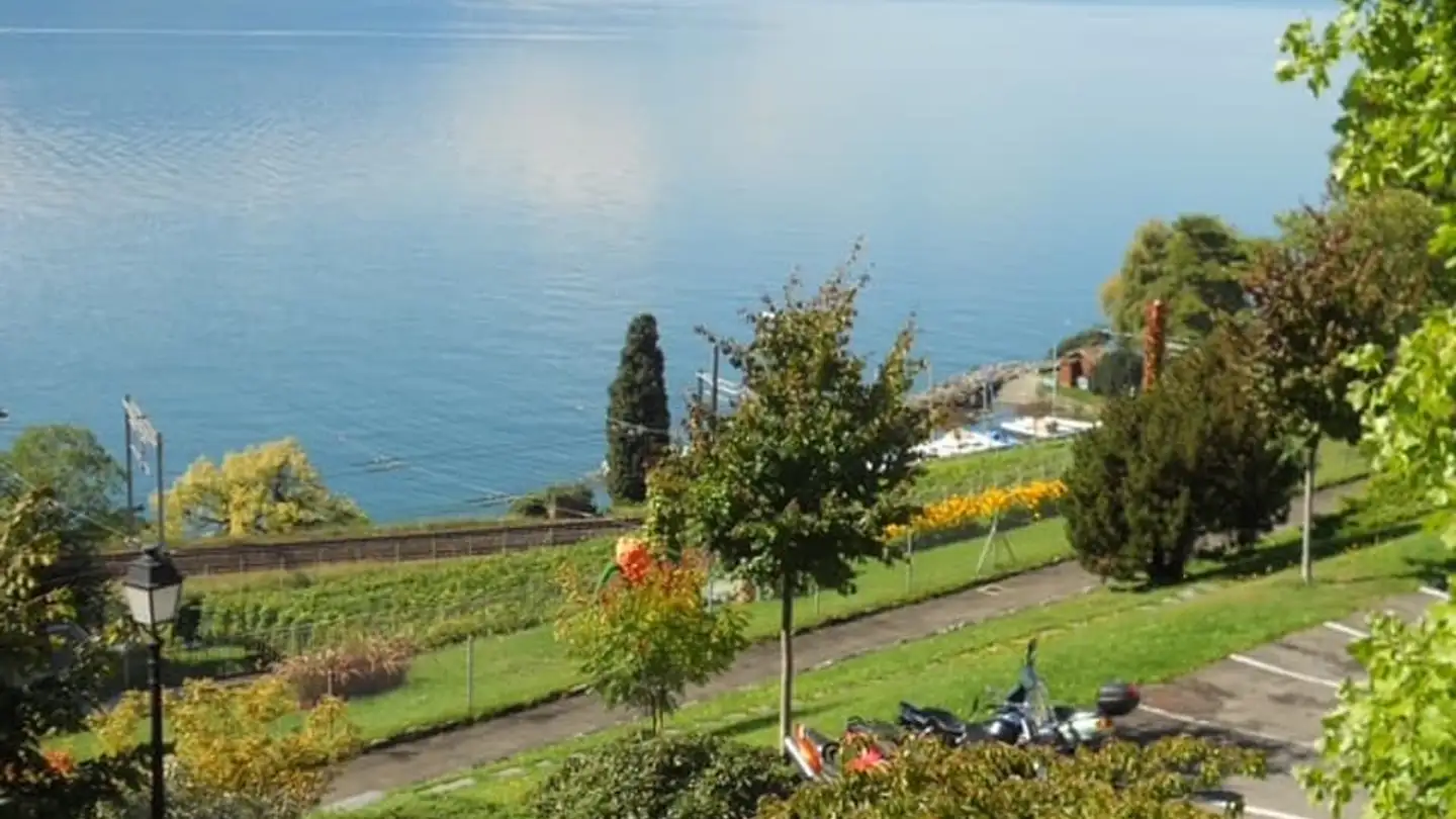 Residential building for sale - 1820 Veytaux