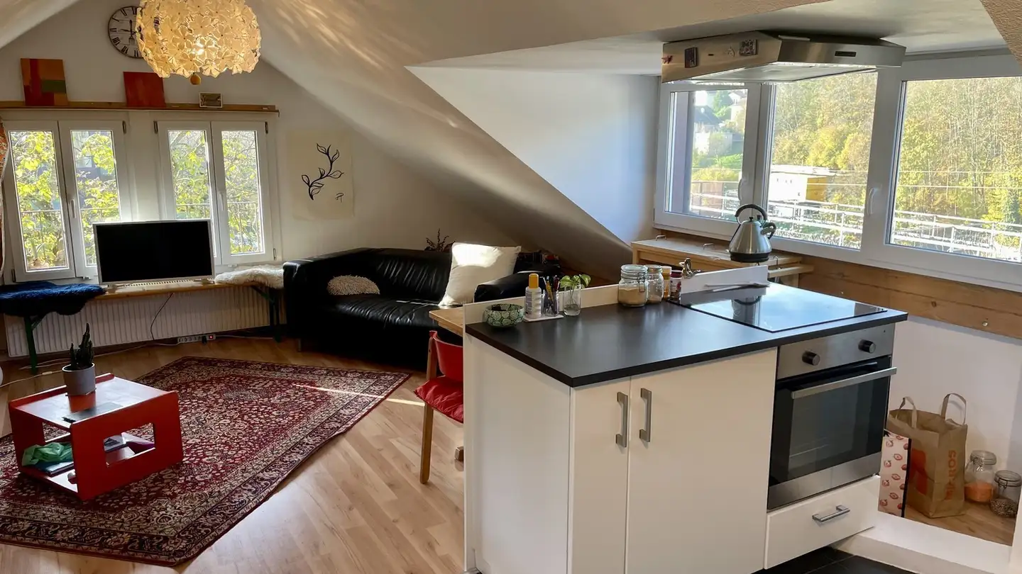 Appartamento in affitto - 3013 Bern