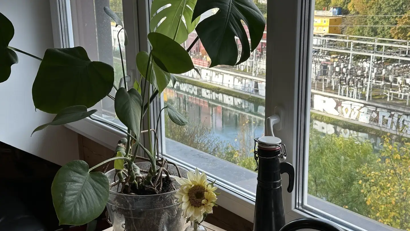 Appartamento in affitto - 3013 Bern - Foto 2